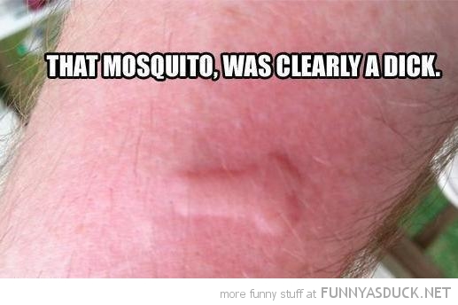 funny-penis-shaped-bite-mosquito-clearly-dick-pics.jpg