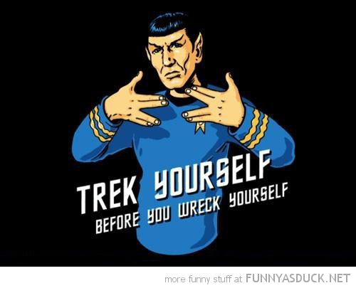 funny-spock-star-trek-yourself-before-wreck-movie-pics.jpg
