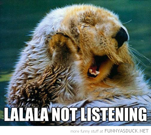 funny-otter-hands-ears-lala-not-listening-pics.jpg