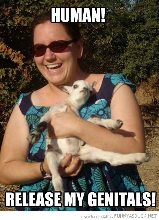 [Image: funny-woman-holding-goat-human-release-g...s-pics.jpg]