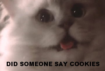 funny-crazy-cat-someone-say-cookies-animated-gif-pics.gif