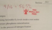 gandalf lord rings shall not pass stamp test paper funny pics pictures pic picture image photo images photos lol