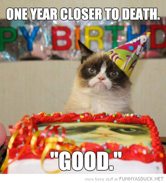 funny-grumpy-angry-cat-birthday-party-hat-year-closer-death-good-pics.jpg