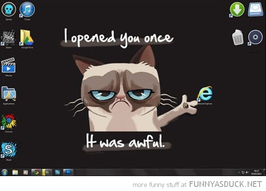 funny-grumpy-cat-desktop-wallpaper-clicked-internet-explorer-once-awful-pics.jpg