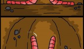 amazing creatures mother nature earthworms comic funny pics pictures pic picture image photo images photos lol