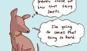 going to smell that so hard comic dog animal funny pics pictures pic picture image photo images photos lol