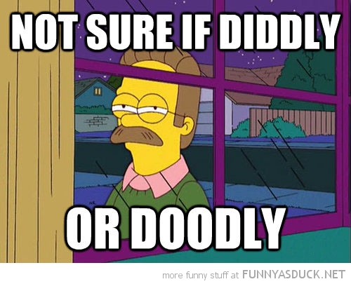 http://funnyasduck.net/wp-content/uploads/2013/06/funny-ned-flanders-fry-meme-not-sure-if-simpsons-pics.jpg