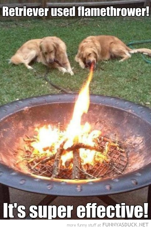 funny-dog-fire-mouth-super-effective-pic