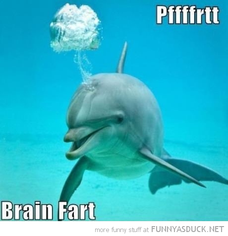 funny-dolphin-brain-fart-pics.jpg