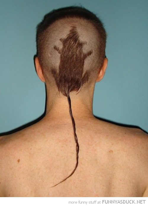 funny pics pictures pic picture image photo images photos lol humor