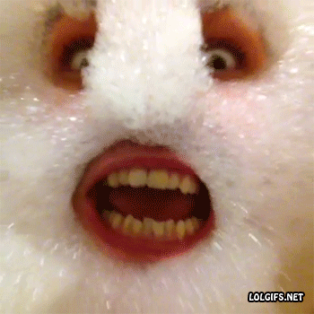 funny-pictures-man-bubble-face-bath-animated-gif-1.gif