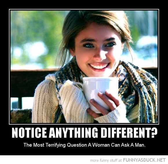 funny-pictures-notice-anyhting-different-question.jpg
