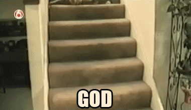 funny-pictures-cat-falling-down-stairs-god-dammit-animated-gif.gif