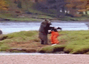 funny-pictures-karate-bear-attack-animat
