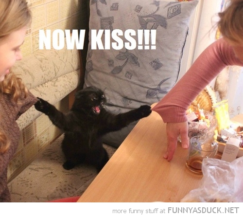 funny-pictures-now-kiss-cat.jpg