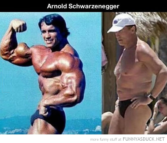funny pics pictures pic picture image photo images photos lol humor