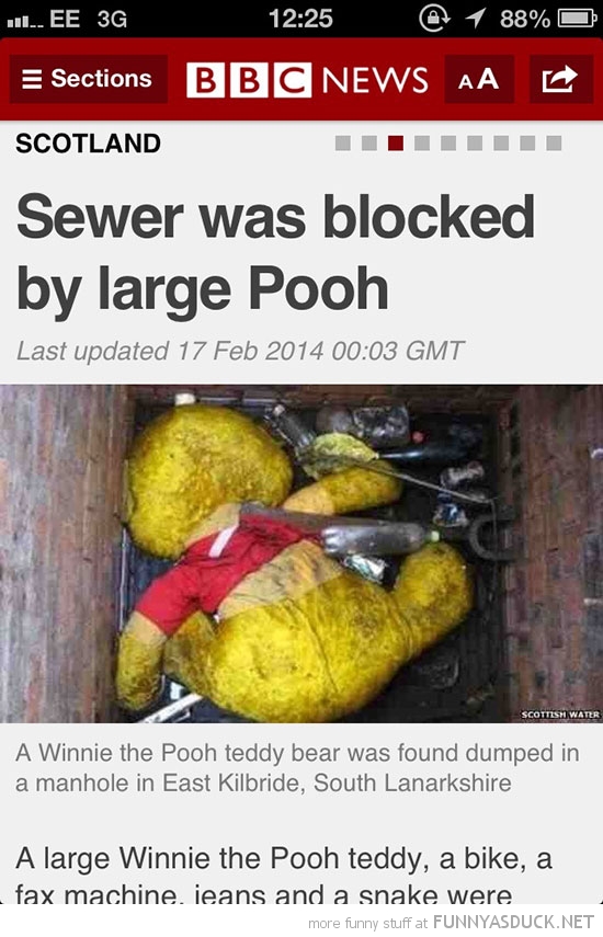 funny-pictures-sewer-blocked-large-pooh-news-report.jpg