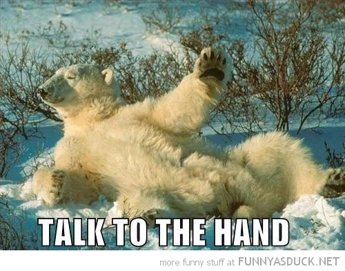 funny-pictures-talk-to-the-hand-polar-be