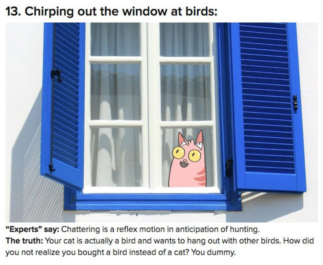 funny pics pictures pic picture image photo images photos lol humor