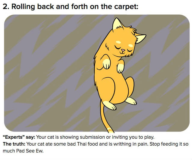 funny pics pictures pic picture image photo images photos lol humor