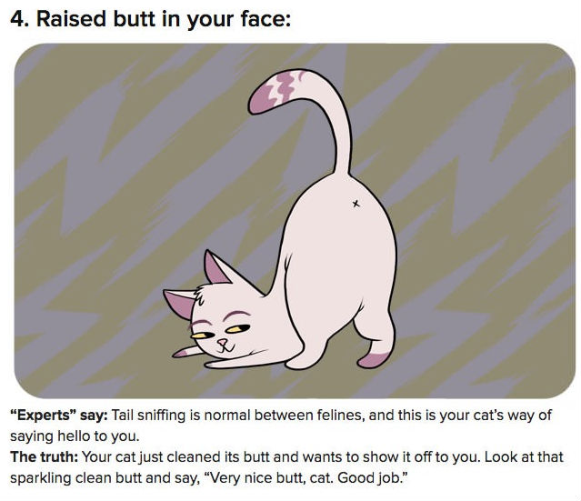funny pics pictures pic picture image photo images photos lol humor