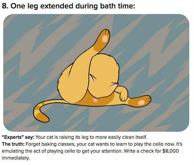 funny pics pictures pic picture image photo images photos lol humor