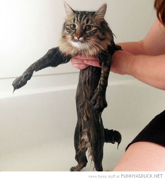funny pics pictures pic picture image photo images photos lol humor