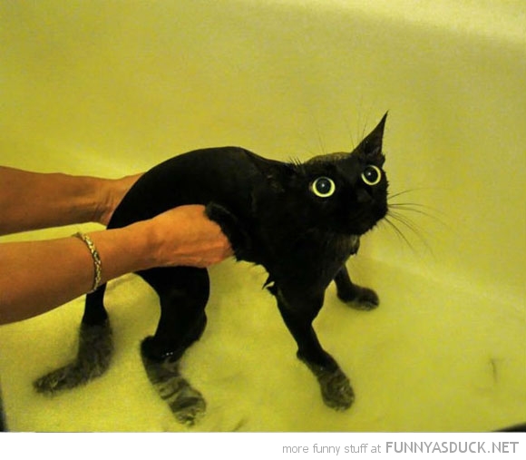 funny pics pictures pic picture image photo images photos lol humor