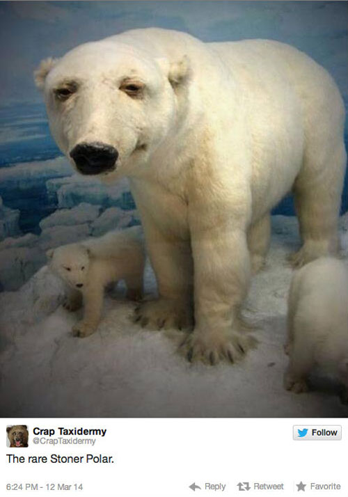funny pics pictures pic picture image photo images photos lol humor