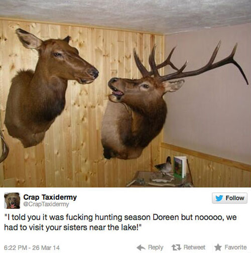 funny pics pictures pic picture image photo images photos lol humor