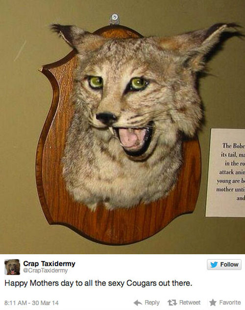 funny pics pictures pic picture image photo images photos lol humor