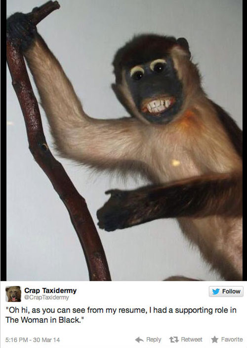 funny pics pictures pic picture image photo images photos lol humor