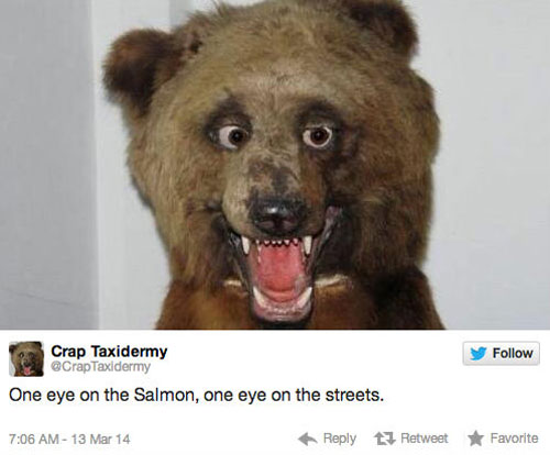 funny pics pictures pic picture image photo images photos lol humor