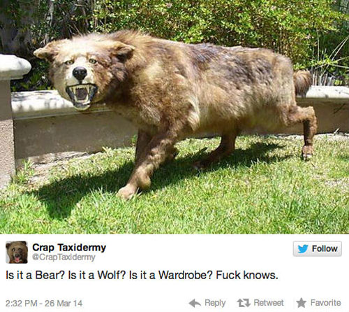 funny pics pictures pic picture image photo images photos lol humor