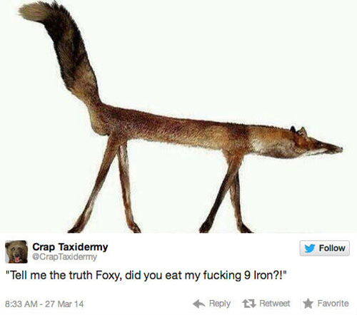 funny pics pictures pic picture image photo images photos lol humor