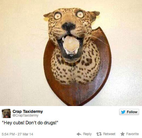 funny pics pictures pic picture image photo images photos lol humor
