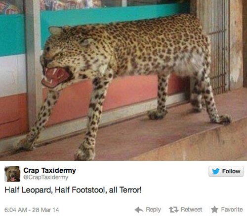 funny pics pictures pic picture image photo images photos lol humor