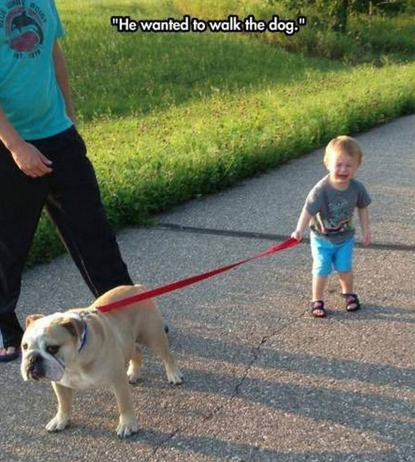 funny pics pictures pic picture image photo images photos lol humor