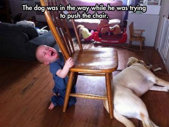 funny pics pictures pic picture image photo images photos lol humor