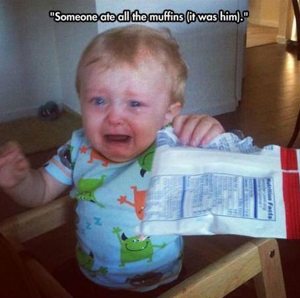 funny pics pictures pic picture image photo images photos lol humor