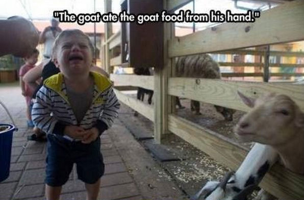 funny pics pictures pic picture image photo images photos lol humor