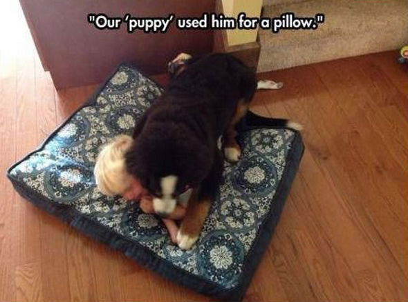 funny pics pictures pic picture image photo images photos lol humor