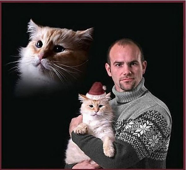 funny pics pictures pic picture image photo images photos lol humor