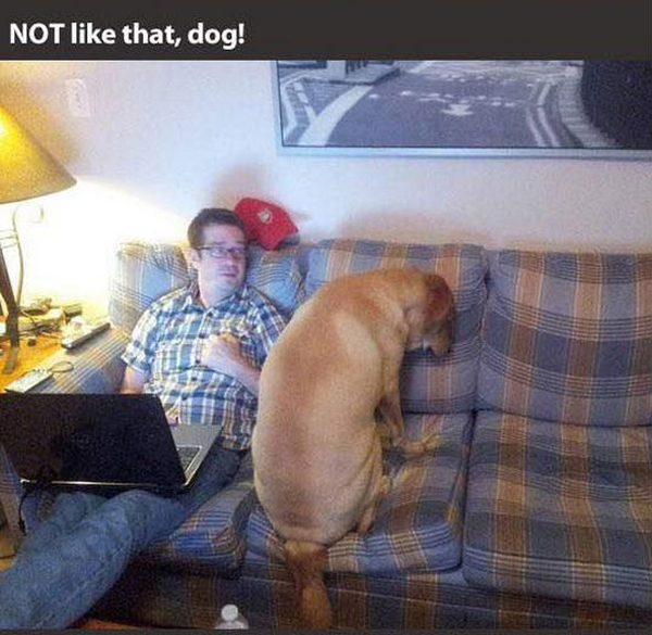 funny pics pictures pic picture image photo images photos lol humor
