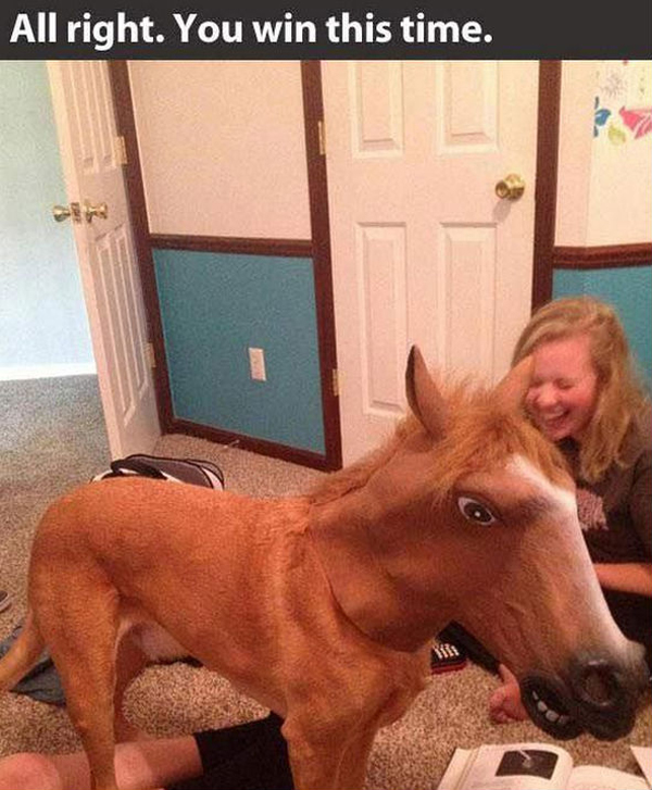 funny pics pictures pic picture image photo images photos lol humor