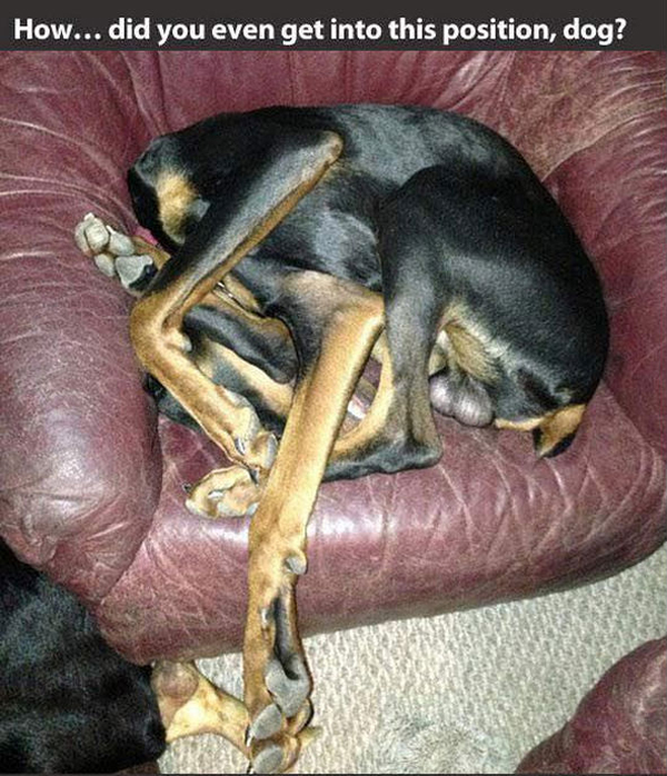 funny pics pictures pic picture image photo images photos lol humor