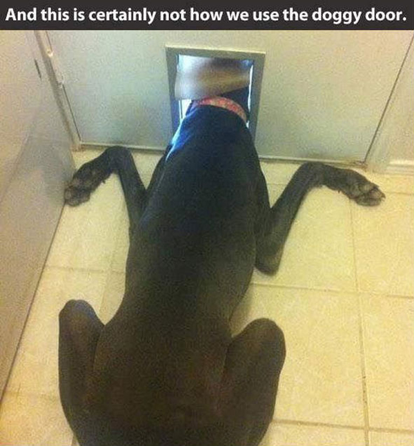 funny pics pictures pic picture image photo images photos lol humor