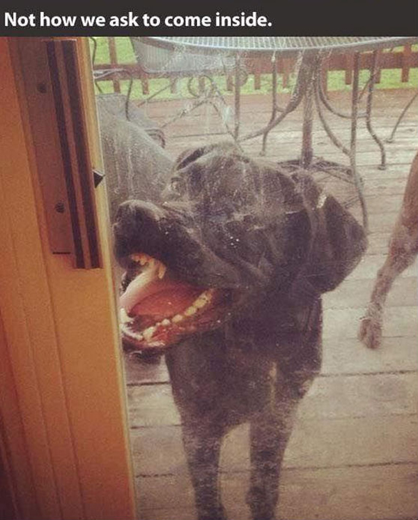 funny pics pictures pic picture image photo images photos lol humor