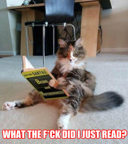 funny-pictures-what-did-i-just-read-cat-