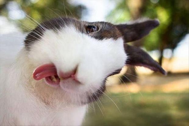 funny pics pictures pic picture image photo images photos lol humor